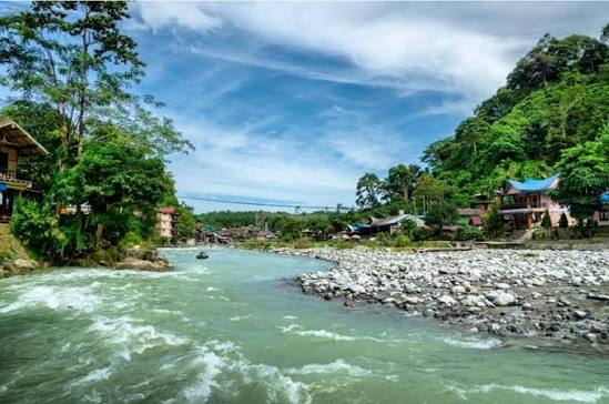 Hutan hujan Gunung Leuser