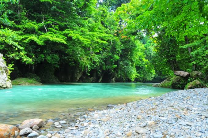 Sungai jernih di tengah hutan Leuser